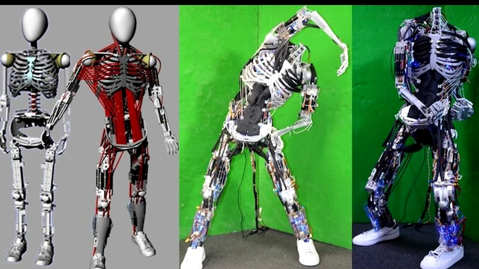 Kenshiro, robotul dotat cu un corp aproape uman (VIDEO)