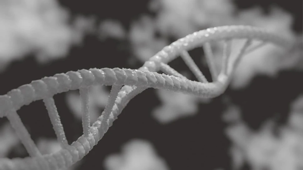 Un studiu a identificat impactul mutațiilor unei gene importante asupra cancerului de sânge