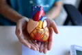 Cum ne protejează bătăile inimii de cancer? Un studiu anunță o descoperire uluitoare!