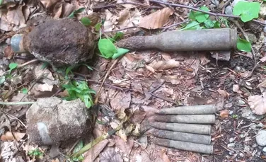 Grenade și cartușe din Al Doilea Război Mondial, găsite într-o pădure din Neamț