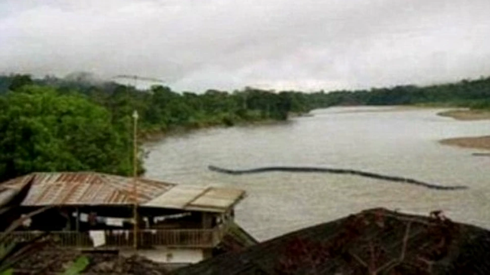 Un sarpe de peste 30 metri terorizeaza insula Borneo