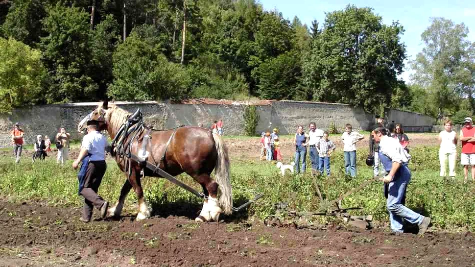 Cine sunt strămoşii europenilor de azi?