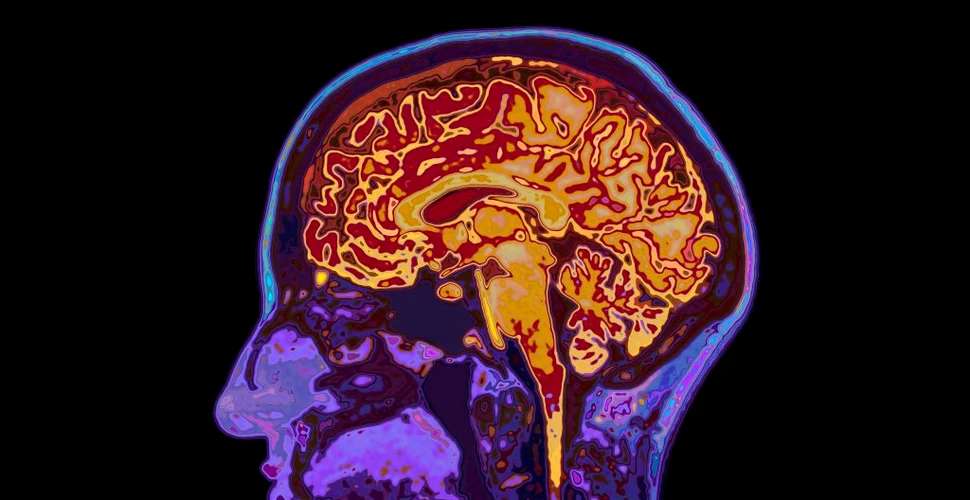Un studiu a descoperit „gânduri ascunse” în regiunea vizuală a creierului