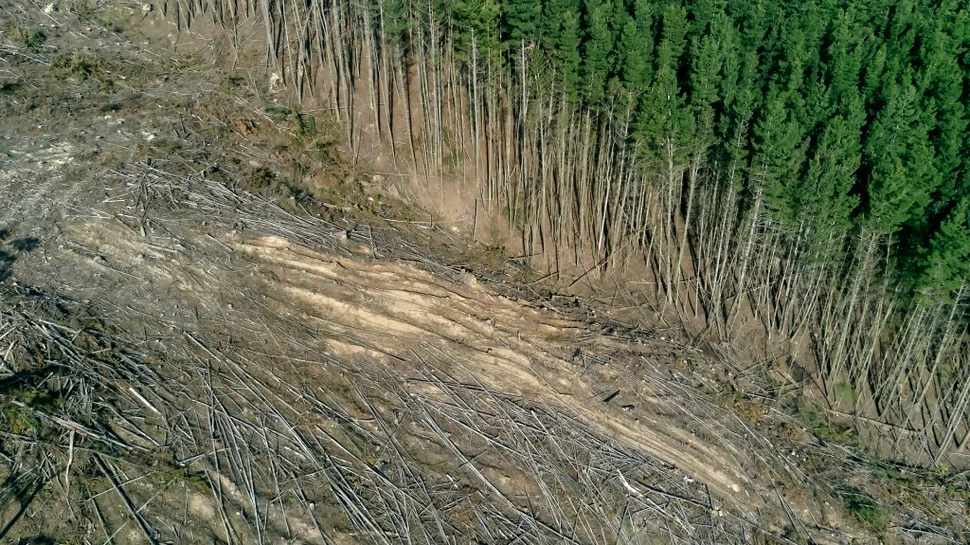 Primul loc în topul riscurilor identificate de bănci: schimbările climatice