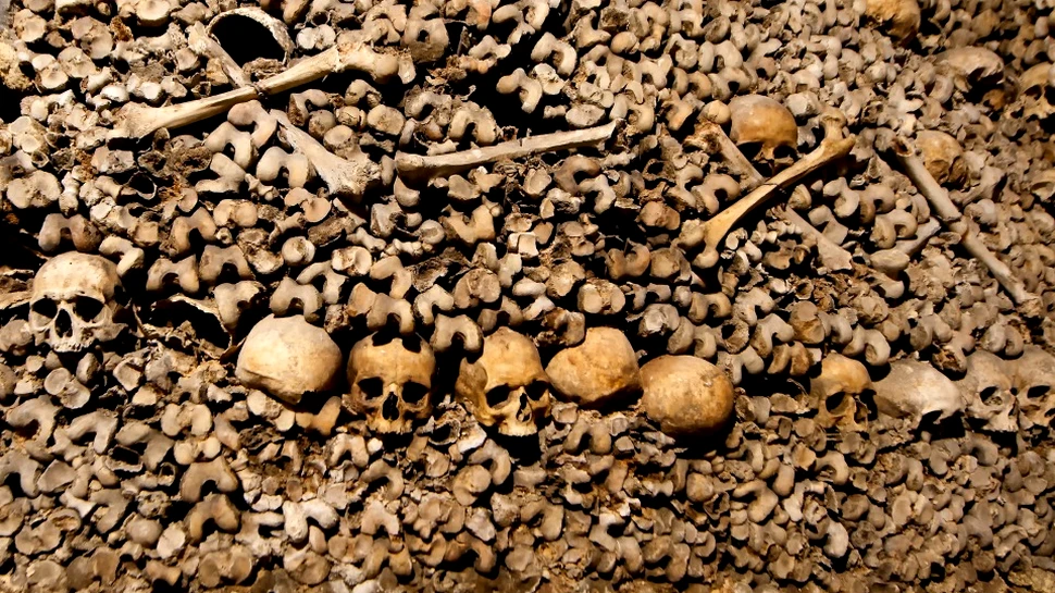 În 1590, locuitorii Parisului asediat au recurs la metoda drastice şi morbide din cauza foametei. Acţiunea a fost catalogată „josnică şi macabră”