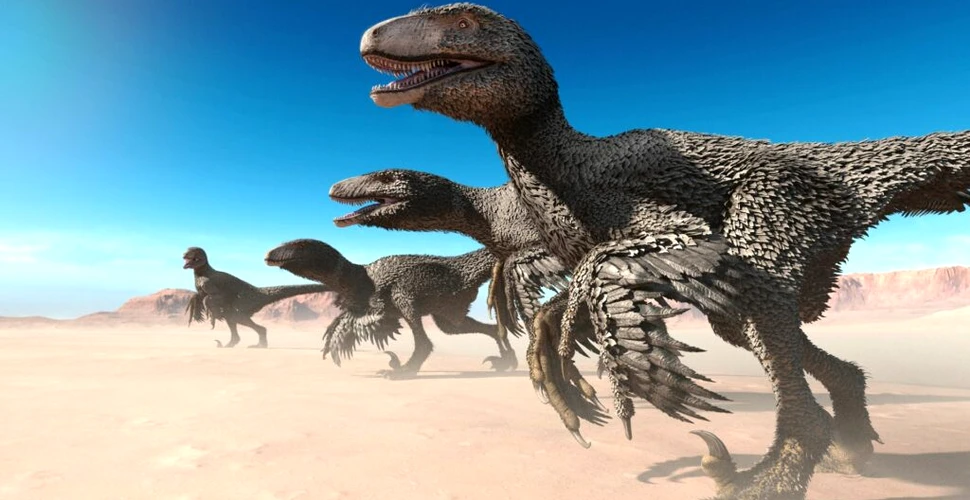 Penele de dinozaur fosilizate dezvăluie proteine conservate de milioane de ani