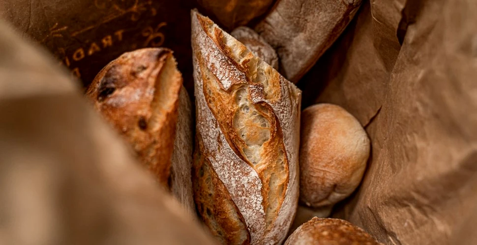 Cât de mult au crescut importurile de pâine în ultimii zece ani