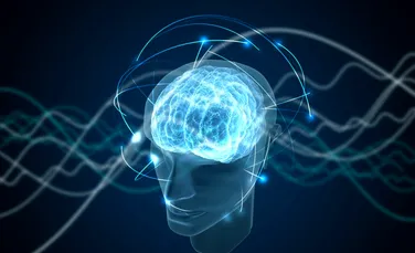 Un experiment aruncă o nouă lumină asupra originilor conștienței