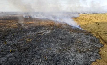 Pădurea amazoniană arde! Suprafața afectată este de două ori mai mare decât anul trecut