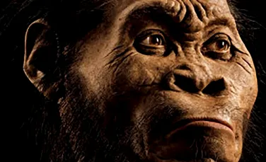 Descoperirea care schimbă arborele nostru genealogic: Homo naledi, strămoşul găsit recent în adâncurile unei peşteri din Africa de Sud – FOTO, VIDEO