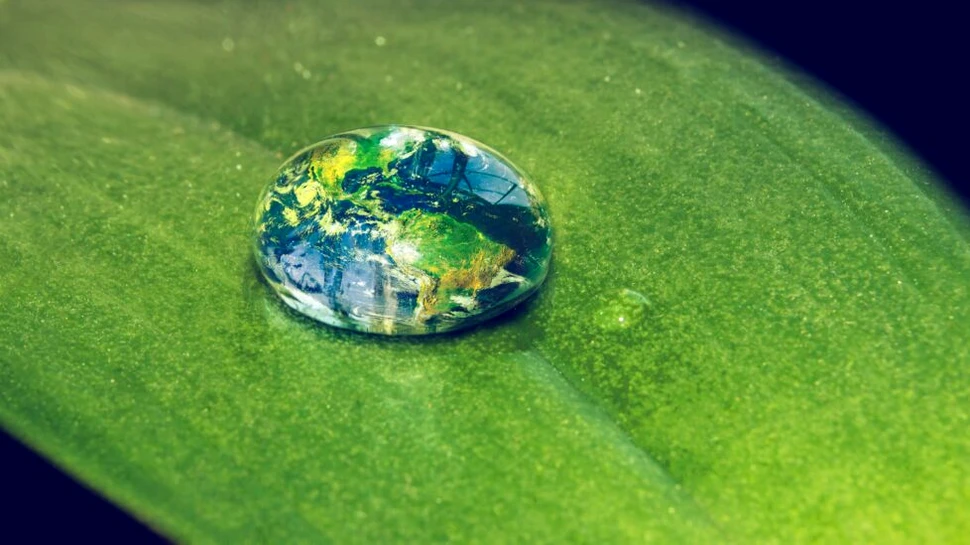 Cum putem să hrănim întreaga lume fără să distrugem planeta?