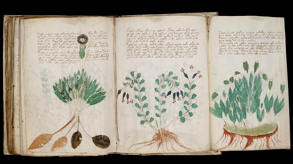 Răsturnare de situaţie! Manuscrisul lui Voynich nu a fost decriptat, iar limba proto-romanică nu există
