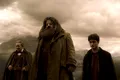 Robbie Coltrane, actorul care l-a interpretat pe Hagrid în seria „Harry Potter”, a murit