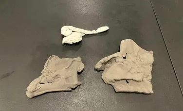 Cercetătorii au reușit să recreeze sunetele dinozaurilor