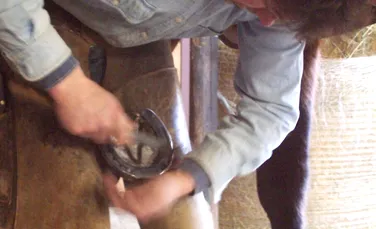 Test de cultură generală. De ce se spune că potcoavele aduc noroc?