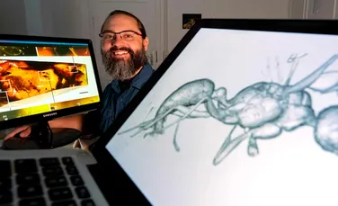 Oamenii de știință au descoperit noi specii de furnici