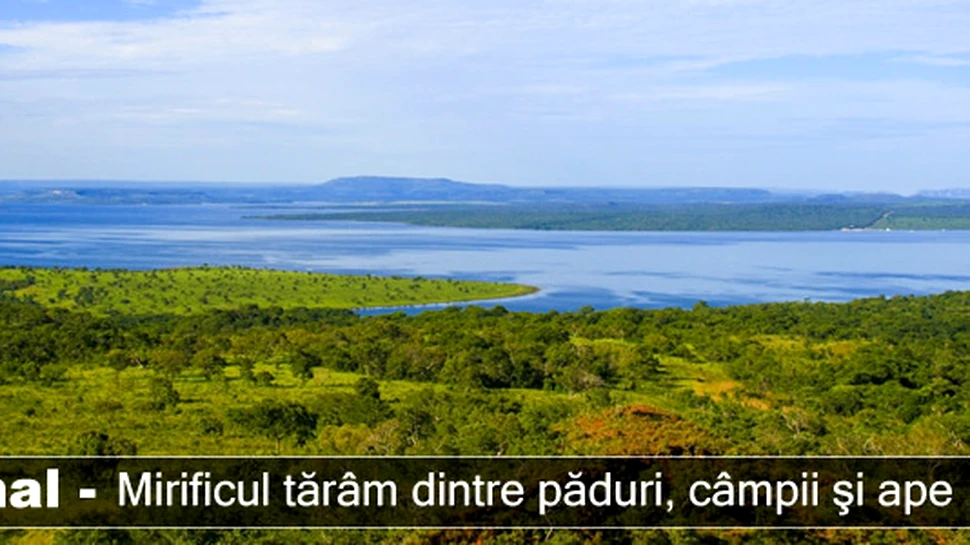 Pantanal – mirificul tărâm dintre păduri, câmpii şi ape