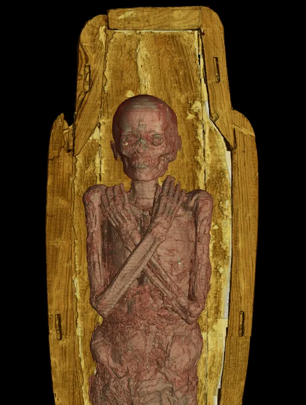Imaginile care prezintă interiorul unei mumii