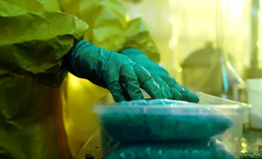 Un fan „Breaking Bad” a construit unul dintre cele mai mari laboratoare de droguri din Italia
