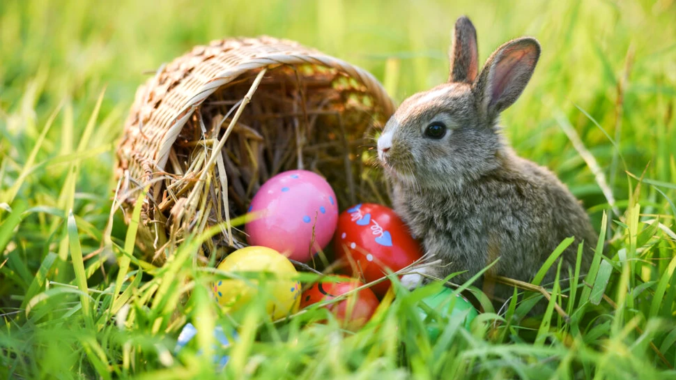 Cum va fi vremea de Paști? Prognoza anunțată de meteorologi