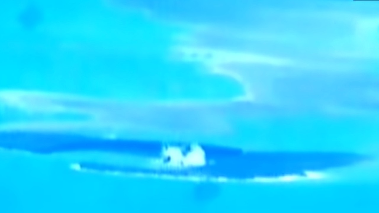 Hovawart