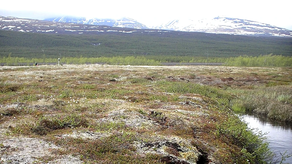 Microbii din permafrost vor decide soarta planetei