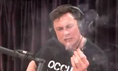 Gestul excentric al lui Elon Musk, şeful Tesla, în timpul unui show online