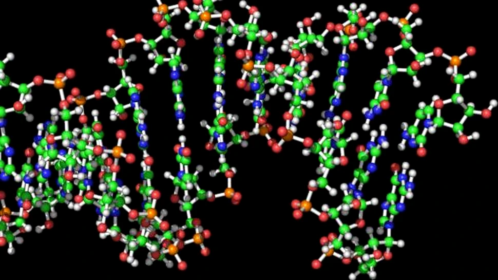 Un nou experiment sprijina teoria “lumii ARN”