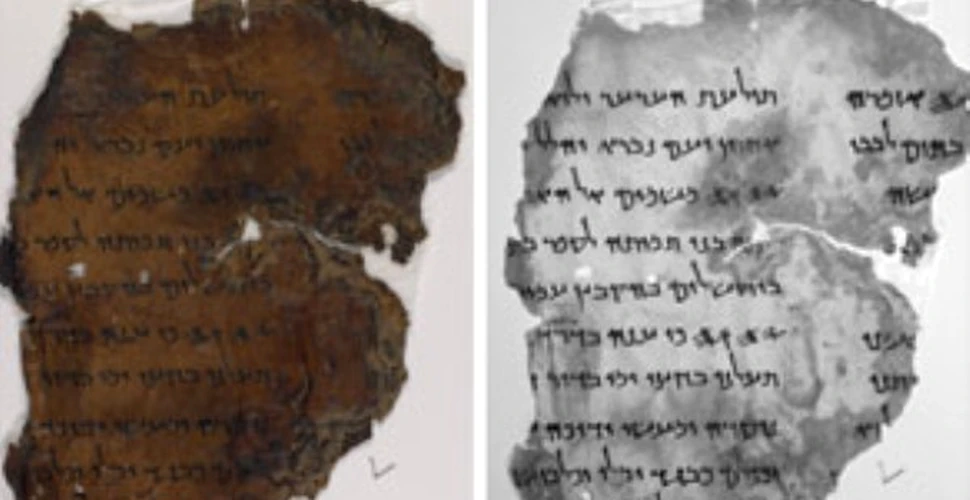 Manuscrisele de la Marea Moarta, de pe pergament pe internet