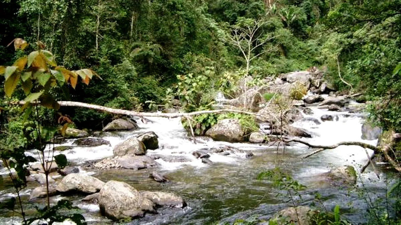 1-eora-creek 