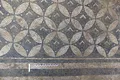 Un mozaic galo-roman, de excepție, a fost găsit sub grajdul unui castel
