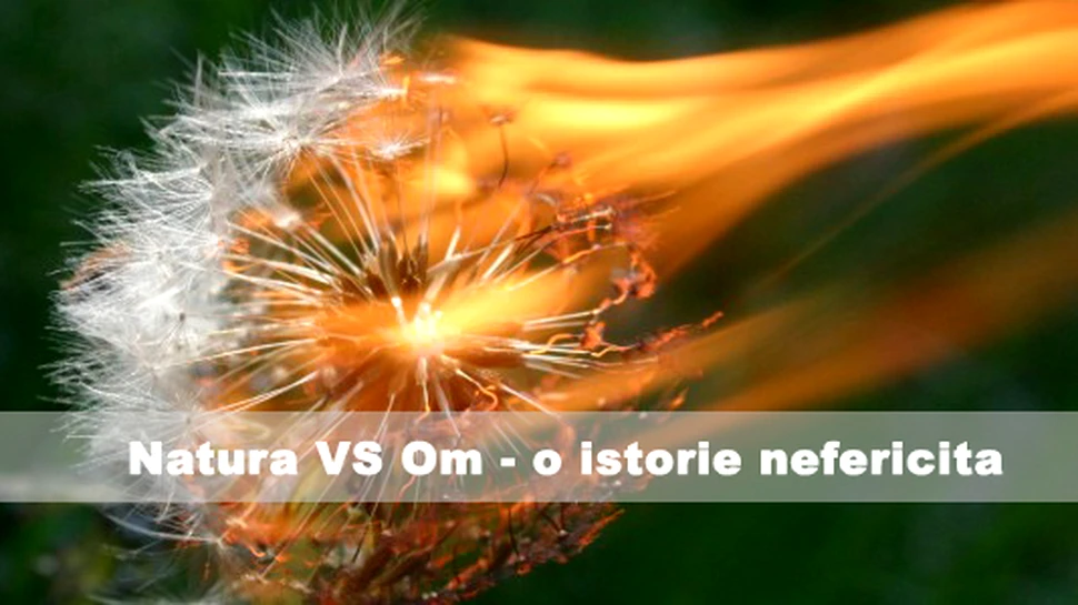 Natura vs Om – o istorie nefericita
