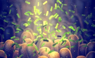Oamenii de știință au descoperit cum să transforme bacteriile intestinale în „fabrici anti-îmbătrânire”