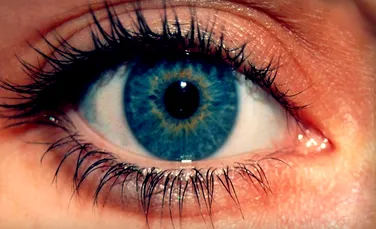 Cercetătorii germani au descoperit o nouă mişcare a ochiului uman. Ce rol are ea în viaţa noastră de zi cu zi