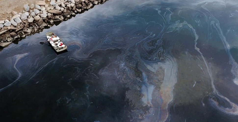 Dezastru ecologic pe o plajă din California, după o scurgere masivă de petrol: „Una dintre cele mai grave situații din ultimele decenii”