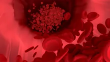 Expunerea la sânge „tânăr” ar putea crește durata de viață?