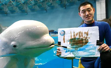 INCREDIBIL! O balena beluga picteaza suprarealist (VIDEO)