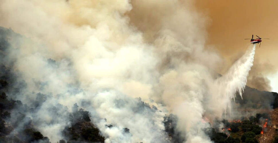 Un aeroport din statul american California a fost înconjurat de incendiile de vegetație