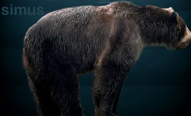 Ursii preistorici mancau orice si pe oricine
