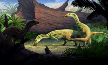 Un strămoș bizar al crocodililor mergea pe două picioare