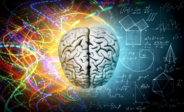 O descoperire genetică ar putea explica unicitatea creierului uman