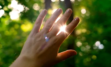 Descoperire surprinzătoare: Organismele vii emit lumină până când mor