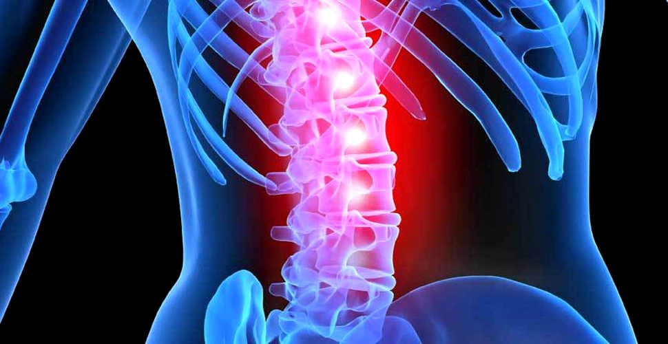 Cercetătorii au reuşit să regenereze nervii distruşi în urma unor leziuni ale coloanei vertebrale