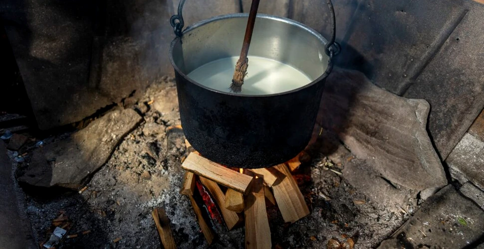 Cercetătorii au descoperit cea mai veche utilizare a laptelui de către fermierii preistorici din Europa