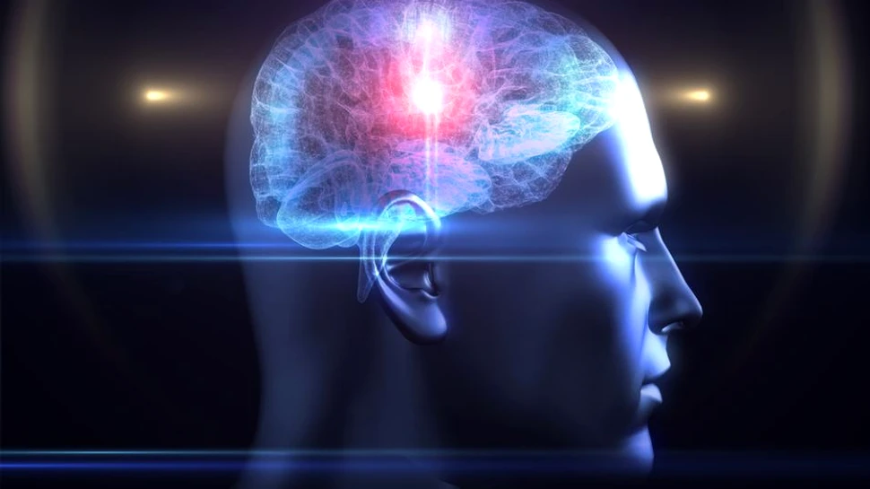 A fost descoperită o nouă funcţie a hipocampusului. Ar putea juca un rol important în tratarea Alzheimerului