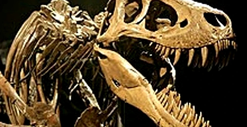 Verdict final: T-rex era un pradator