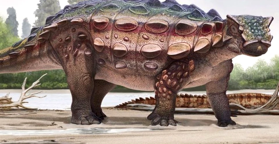 Au fost descoperite rămăşiţele unui dinozaur cu ”armură” ce a trăit pe un continent dispărut