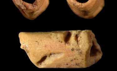 O mărgea dintr-un material neobișnuit oferă indicii despre cultura Clovis