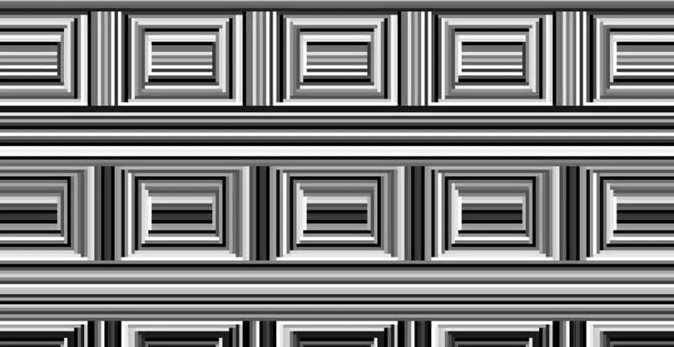 Poţi observa cele 16 cercuri din această imagine? Iluzia optică ce a uimit utilizatorii reţelelor sociale