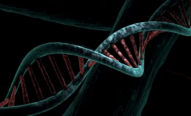 Rolul pe care îl au genele moștenite pe linie maternă în afecțiunile genetice
